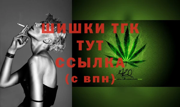 экстази Горняк